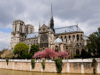 Notre Dame de Paris вновь радует туристов звоном колоколов