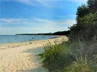 фото отеля Town and Beach Motel