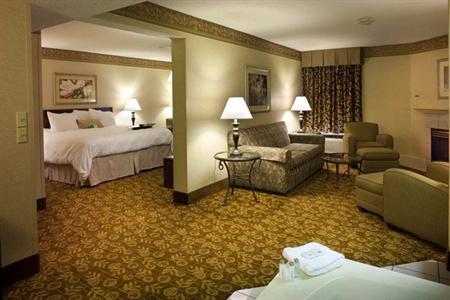 фото отеля Hampton Inn Asheville - Tunnel Rd.