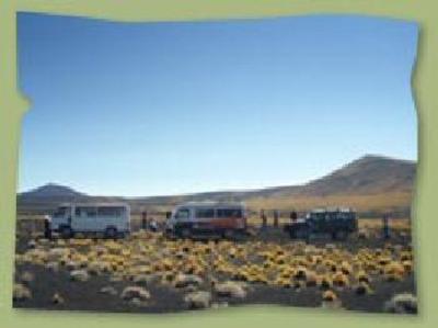 фото отеля Hostel Internacional Malargue