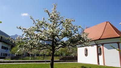фото отеля Gasthof zum Messerschmied
