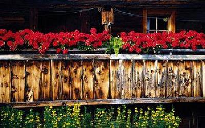 фото отеля Alpenhotel Speckbacher Hof