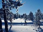 фото отеля Alpenhotel Speckbacher Hof