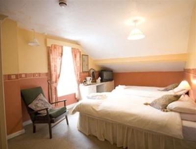 фото отеля The George Borrow Hotel Ponterwyd