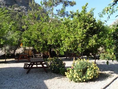 фото отеля Olympos Yakamoz Pension