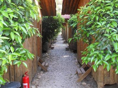 фото отеля Olympos Yakamoz Pension