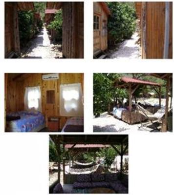 фото отеля Olympos Yakamoz Pension