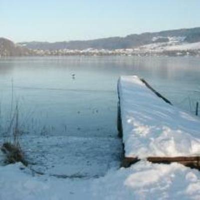 фото отеля Bauernhof Baby und Kinderhof Aicherbauer