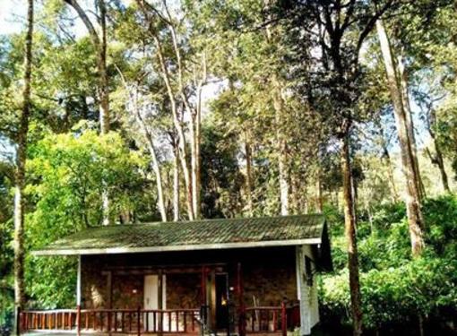 фото отеля Greenspaces B&B Munnar