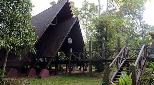 фото отеля Sukau Rainforest Lodge