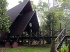 фото отеля Sukau Rainforest Lodge