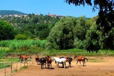 фото отеля Montebelli Agriturismo and Country Gavorrano