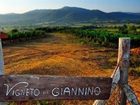 фото отеля Montebelli Agriturismo and Country Gavorrano