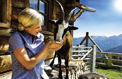 фото отеля Salzburg Hotel Saalbach-Hinterglemm