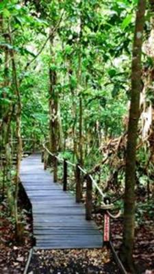 фото отеля Tungog Rainforest Eco Camp