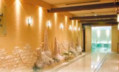 фото отеля Grand Hotel Shonan