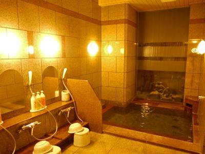 фото отеля Hotel Route Inn Tomakomai Ekimae