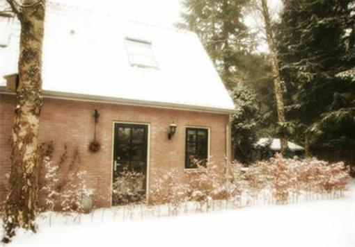 фото отеля Bed and Breakfast Boschzicht Doorn