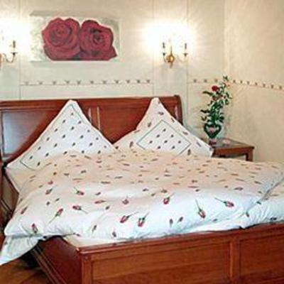 фото отеля Hotel Burgwirt