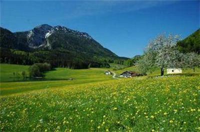 фото отеля Landhotel Binderhäusl Inzell