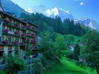 фото отеля Hotel Alpenrose Wengen