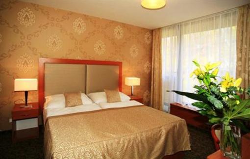 фото отеля Thermal Spa Hotel Karlovy Vary