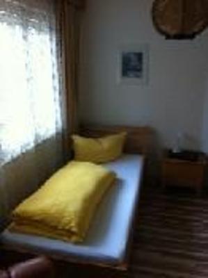 фото отеля Austrian Motel Heiss