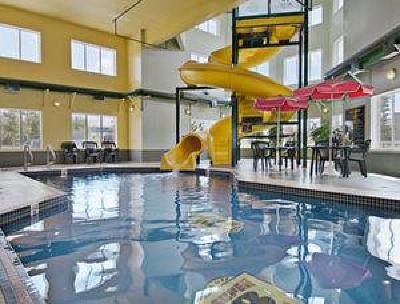 фото отеля Super 8 Motel - Calgary / Shawnessy
