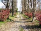 фото отеля Agriturismo Green Farm