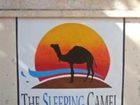 фото отеля The Sleeping Camel