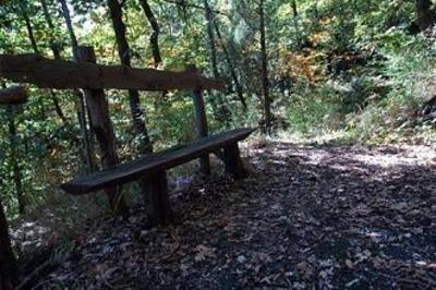 фото отеля Emmaus - Albergo del bosco
