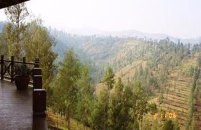 фото отеля Bromo Cottages Hotel