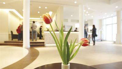 фото отеля Upstalsboom Hotelresidenz & SPA Kuhlungsborn