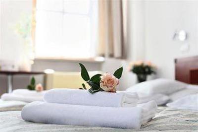 фото отеля Hotel B.A.S. Villa Residence