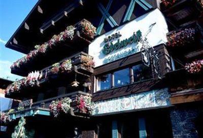 фото отеля Edelweiss Hotel Saalbach-Hinterglemm