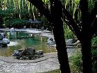 фото отеля Ferntree Rainforest Lodge