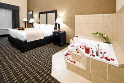 фото отеля Holiday Inn Northeast Arlington (Texas)