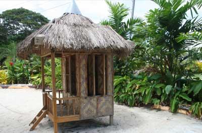 фото отеля Bohol Divers Resort