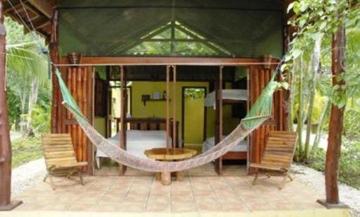 фото отеля Funky Monkey Lodge