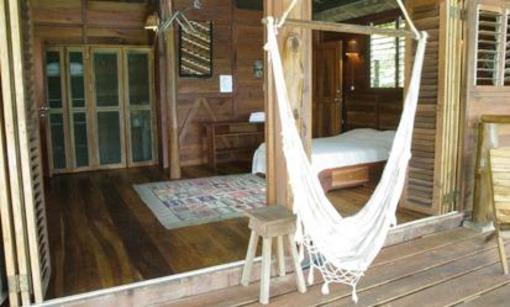 фото отеля Funky Monkey Lodge