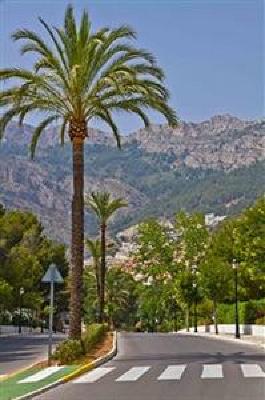 фото отеля Hotel Altea Hills