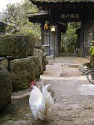 фото отеля Shinmeikan Onsen
