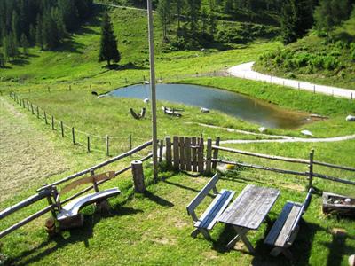 фото отеля Dientalm Hutte