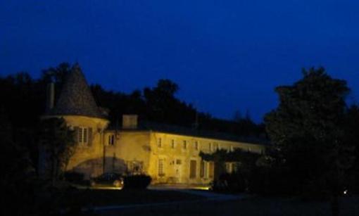 фото отеля Chateau De Puyrigaud