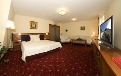 фото отеля Hotel Ruze Karlovy Vary