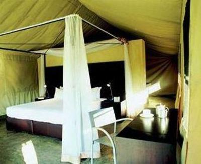 фото отеля Honeyguide Tented Safari Camps Manyeleti Game Reserve