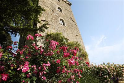 фото отеля Torre Almonte
