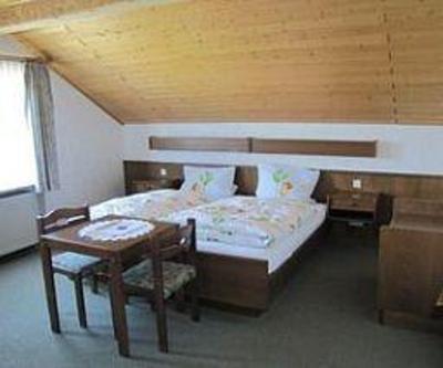 фото отеля Steuer Hotel Allenbach