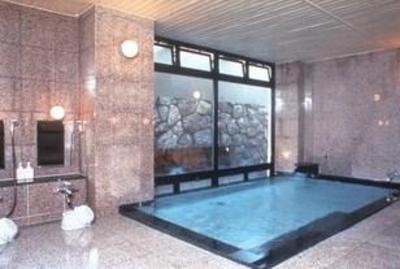 фото отеля Hotel Selan