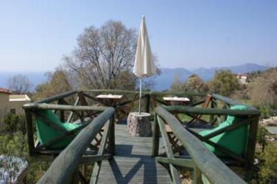 фото отеля Lazy Lizard Hotel